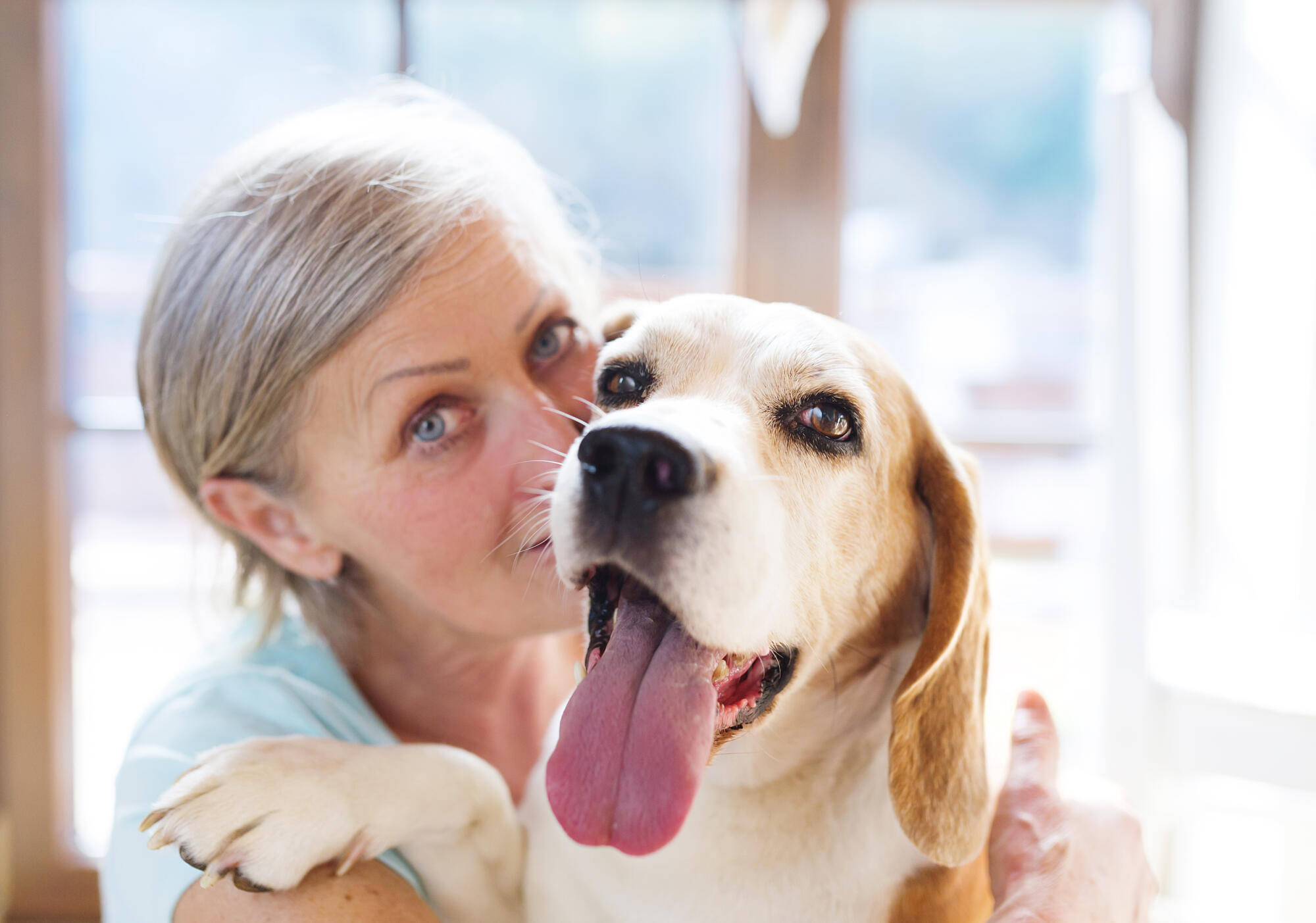 Pet-Friendly Assisted Living: Benefits of Pets in Senior Communities